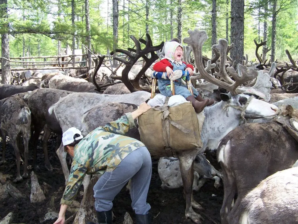 Evenki reindeer herders anthropology