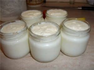 Fermented Milk recipe history culture