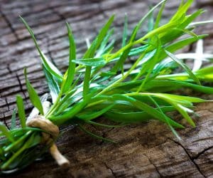 tarkhun recipe history culture origin