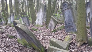 Headstones amidst the forest at Okopowa cemetery