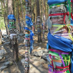 Tying cloth to trees is a tradition shared by local Shamans and Buddhists
