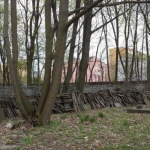 Jewish Cemetery in Warsaw