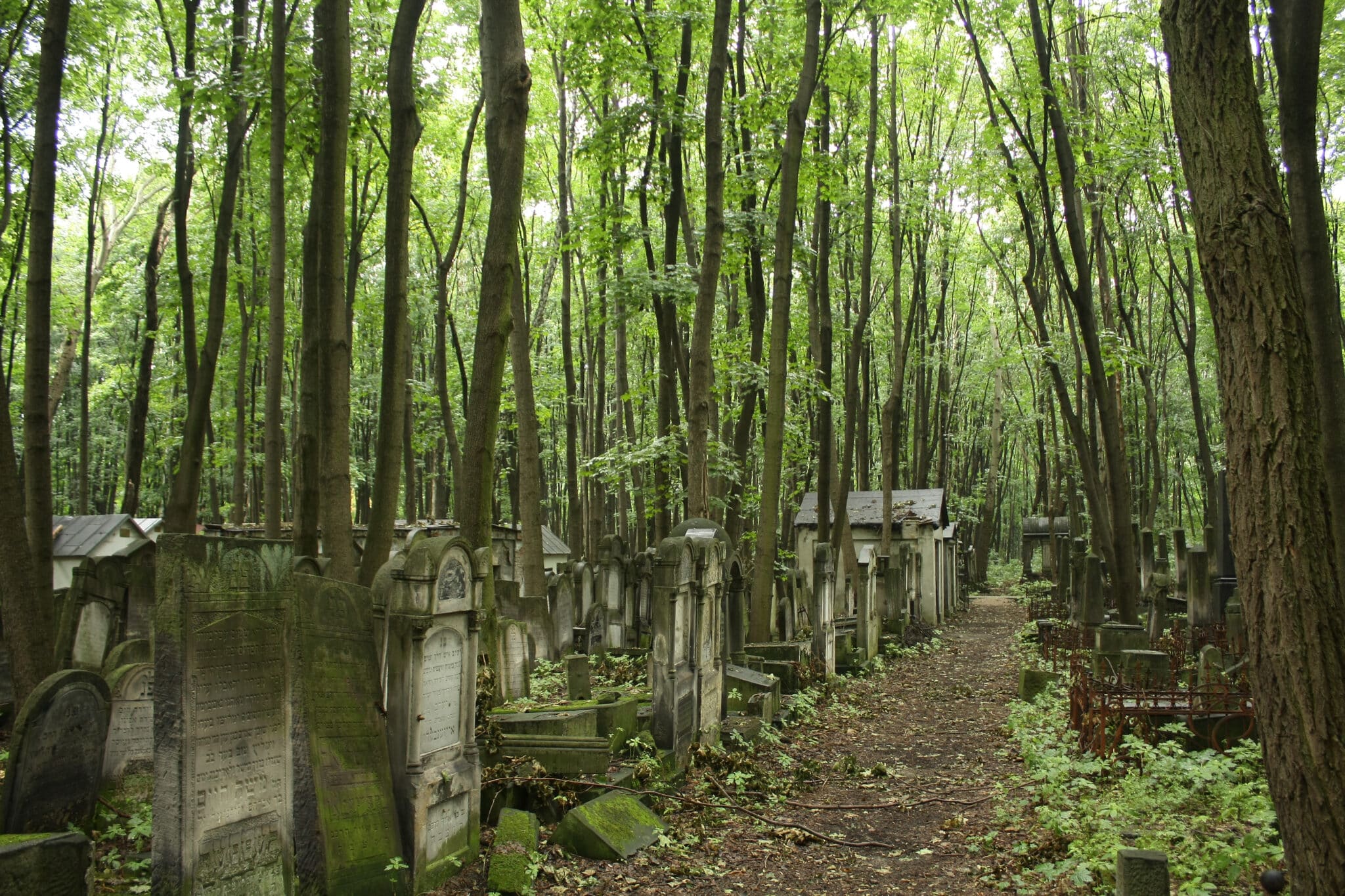 Bródno Cemetery Warsaw Jewish