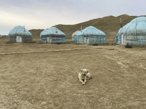 Yurt camp on Aral Sea