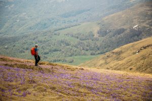 Hiking Nature Serbia May Labor Day