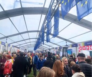 Europe Day - Tallinn - May 2025.1
