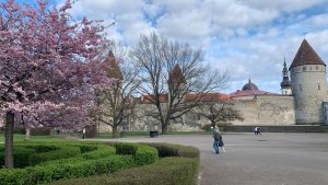 Spring in Tallinn's Old Town - April 2025